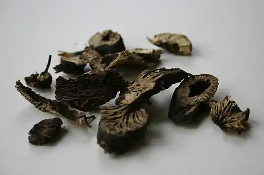 升麻